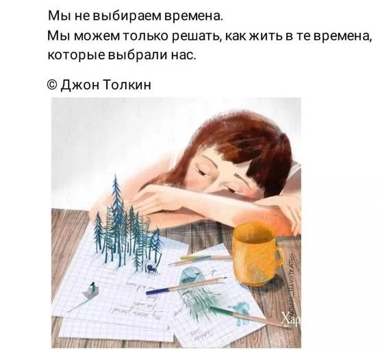 a47d2bf157074ec95.webp