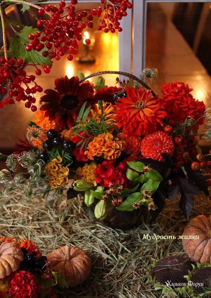 a47e945dfeb7c7f18.webp