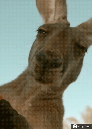 a485e52bf08f9e726550a0.gif