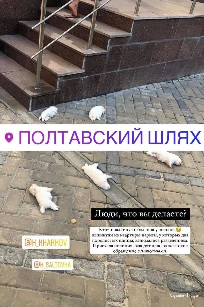 a49d4ad51e3c951cc629.webp
