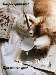 a4b57e985ba39e24bc67.webp