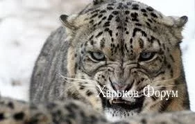 a4bad5c0127380abe.webp