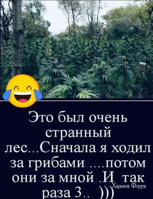 a4cc437821da8331e5ec7010.webp