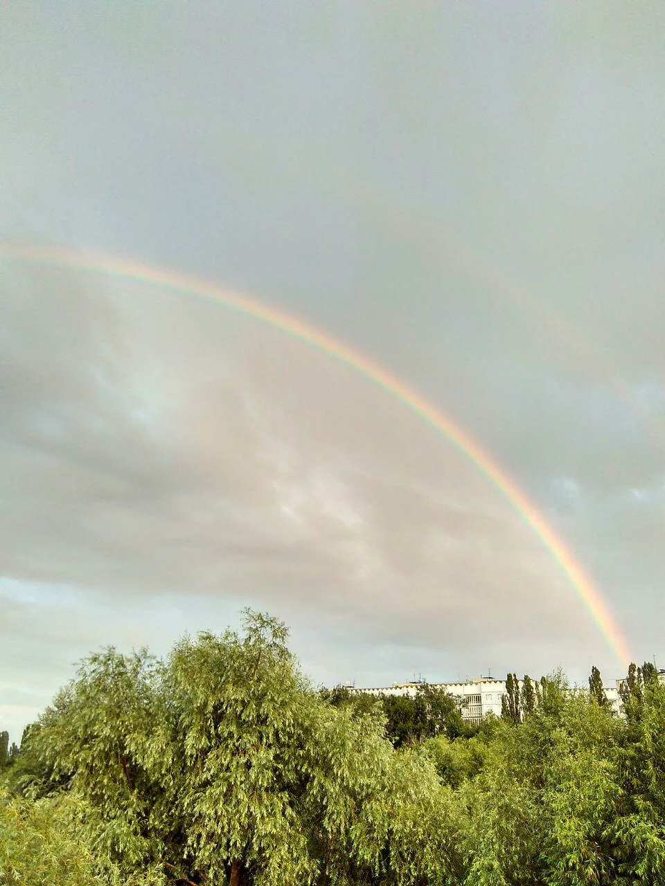 a4ccfg.webp