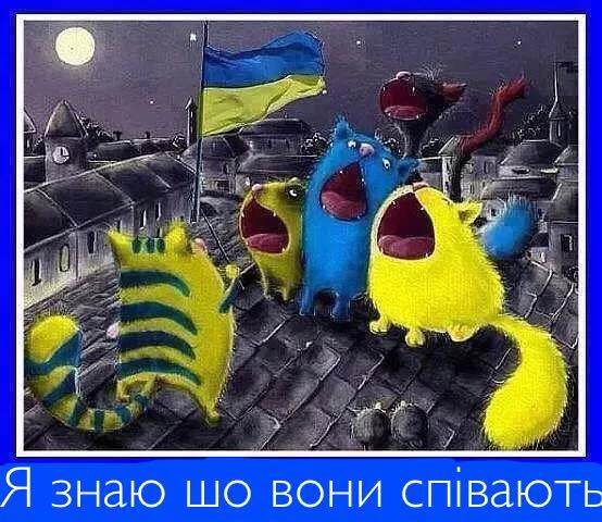 a4cead.webp