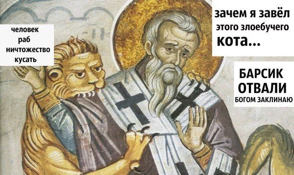a4dd96c28d148674397484dbcfdc3d02--error-lions.webp