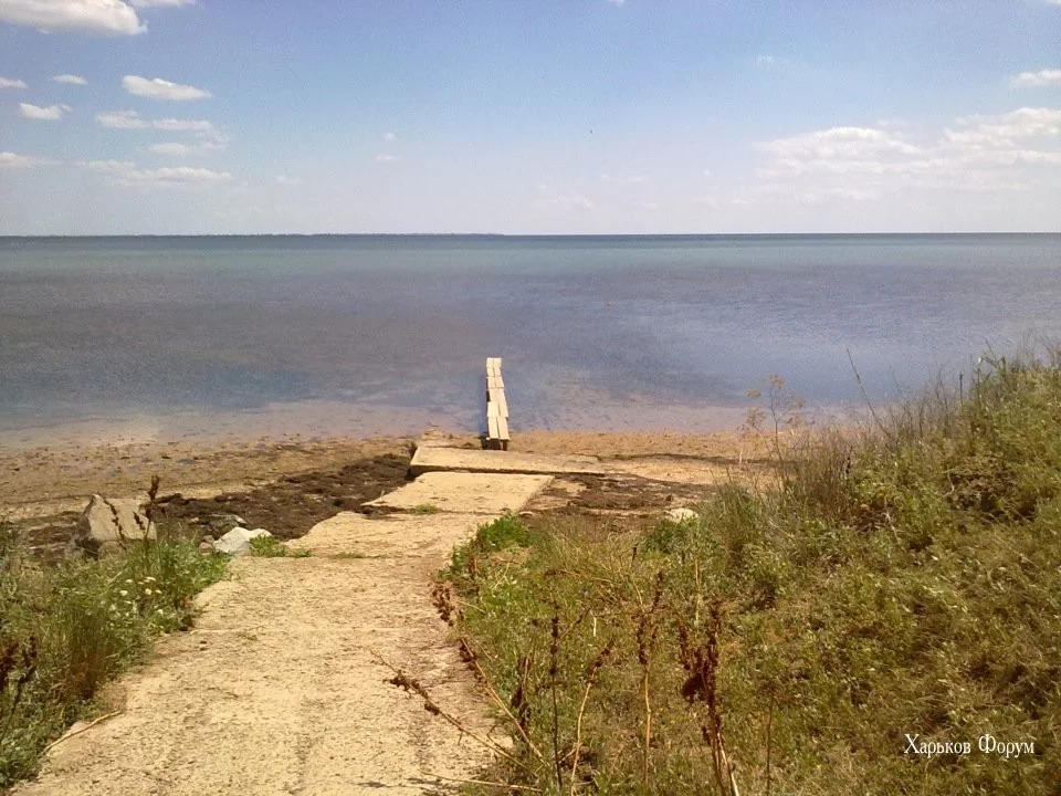 a4e9ed17770e4df5b74c7.webp