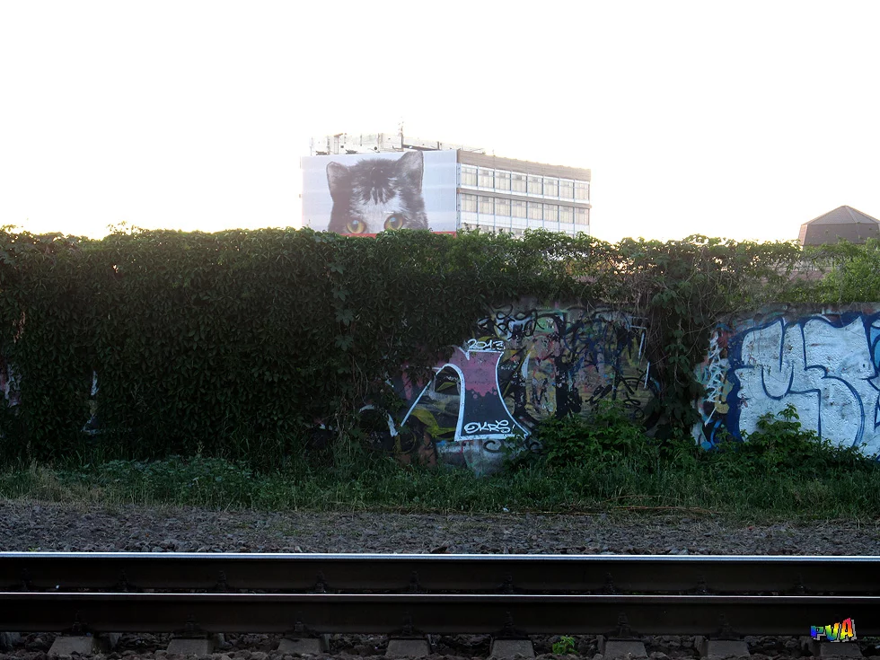 a4ffgc.webp