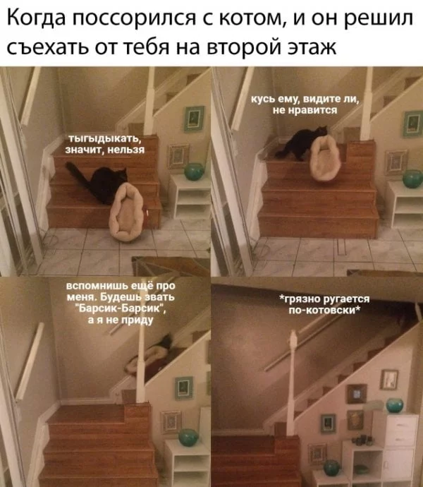 a4jfgh.webp