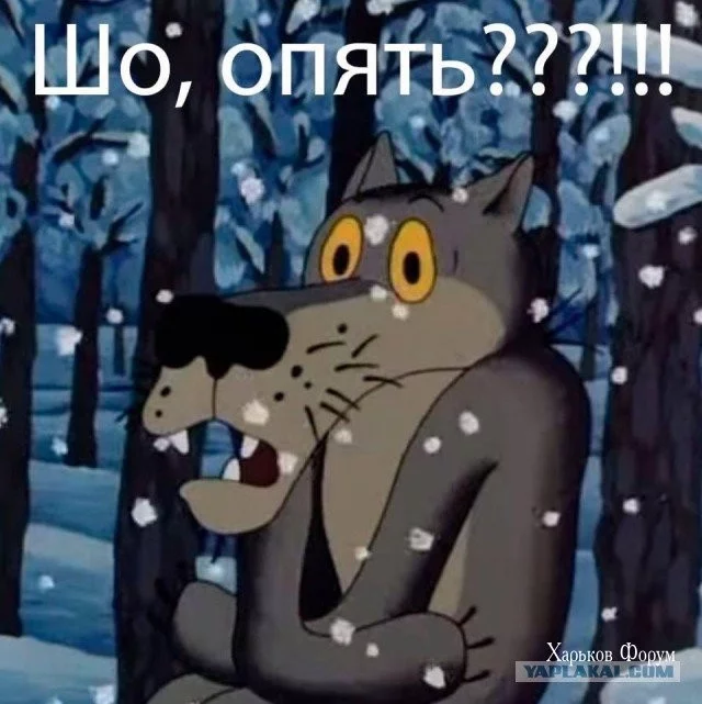 a51a9ab50cf5f75213b1.webp