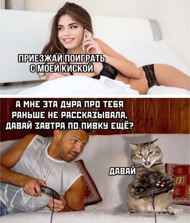 a52230146e4055926c9.webp