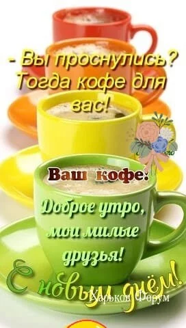 a538b0defca4197896d.webp