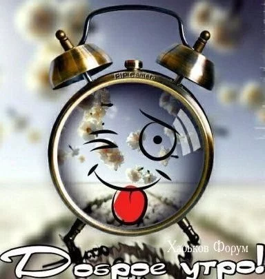 a579c627450533bbc168f.webp