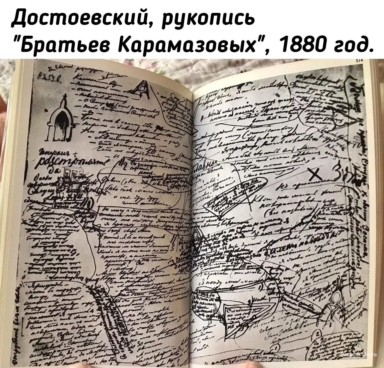 a5afdb3a01c036c306f.webp