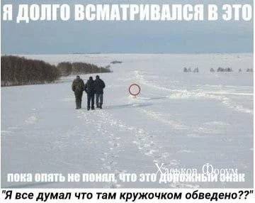 a5b21a7cf8647966b.webp