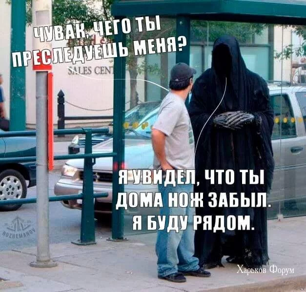 a5bd41712b342e129.webp