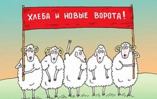 a5c8410bd1df21dc966a8fa5f7a8ac6e_500x317.webp