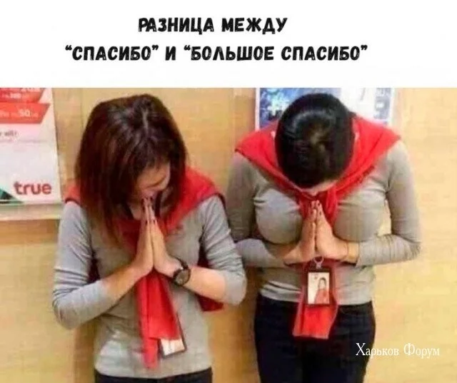 a5ca4a5f2f0f01e83.webp
