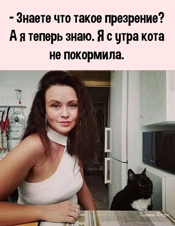 a5cb5d8fec0d66fb22.webp