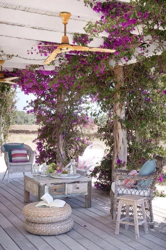 a5cgfg.webp