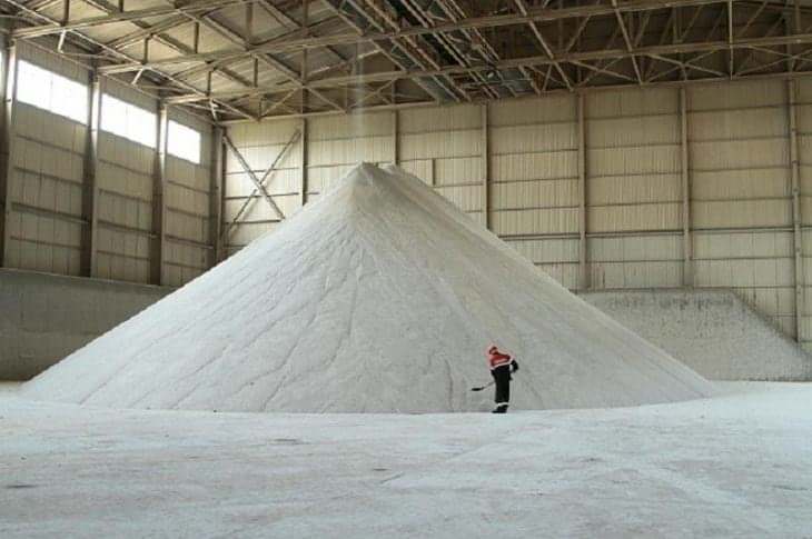 a5cjha.jpg