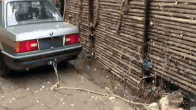 a5d19QG_460sa.gif