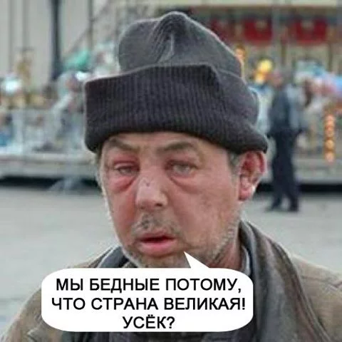 a5ddcd.webp