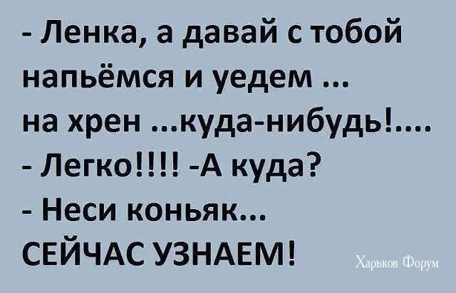 a5eec1ead49064ceb5.webp
