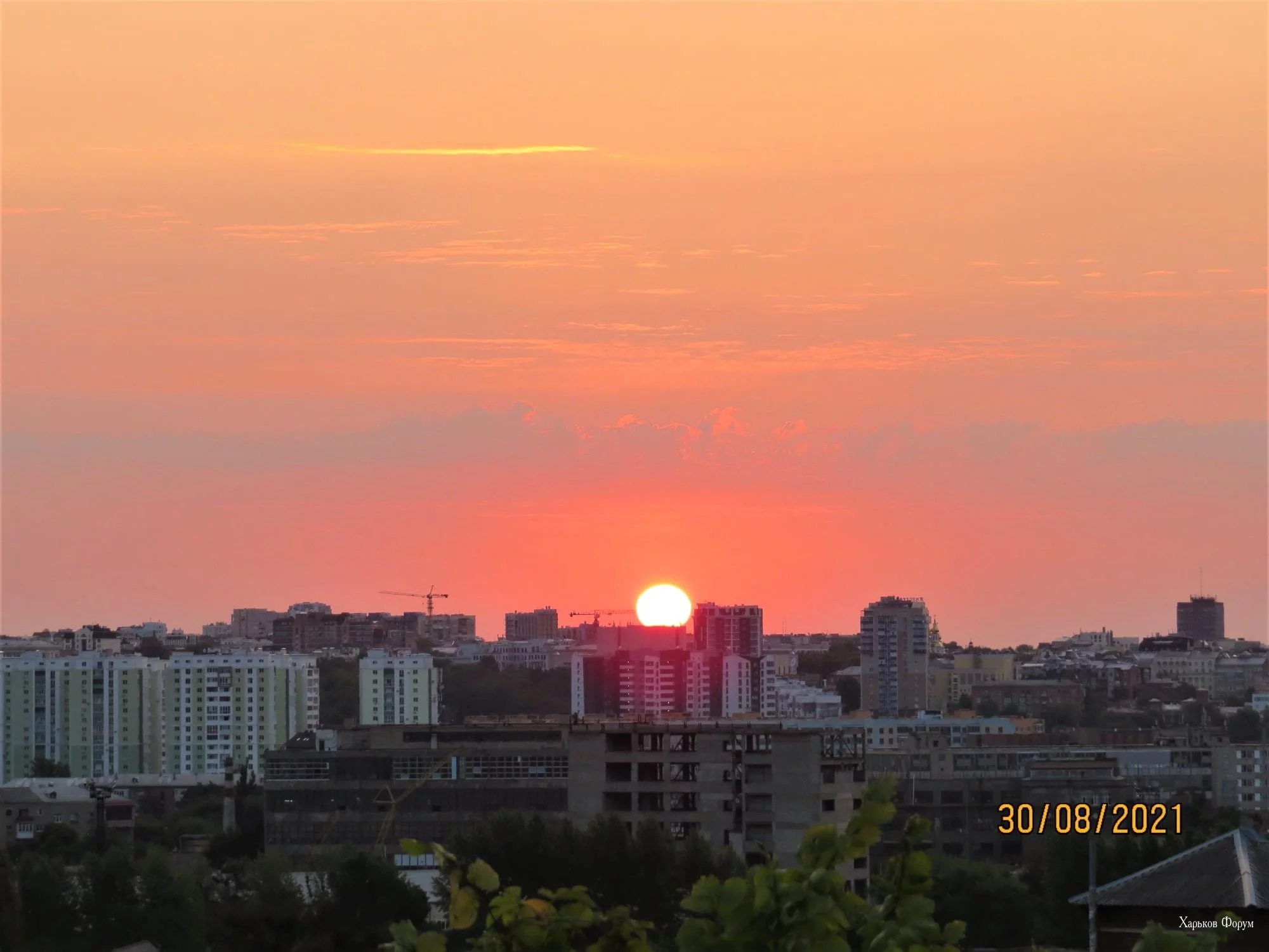 a5f3ae4abcf14d84.webp