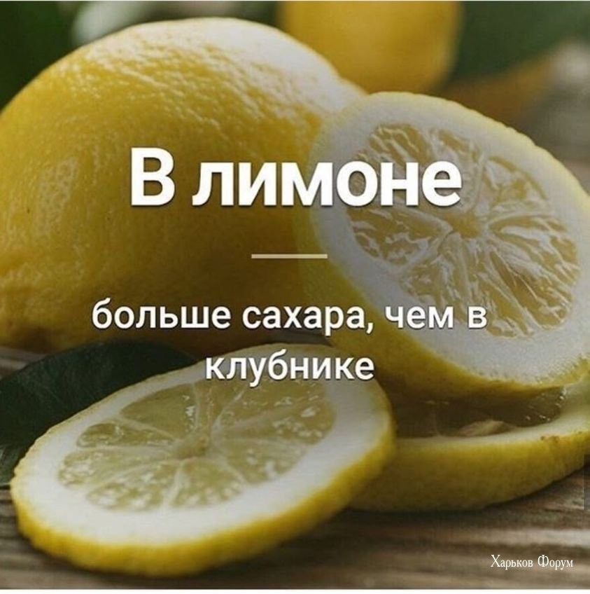 a5fa14f606ea98be8.jpg