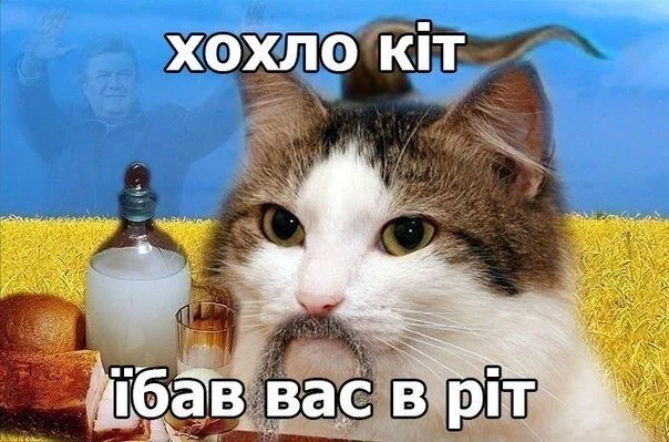 a5febb928a4b9da0683666dd7c7b7322.webp