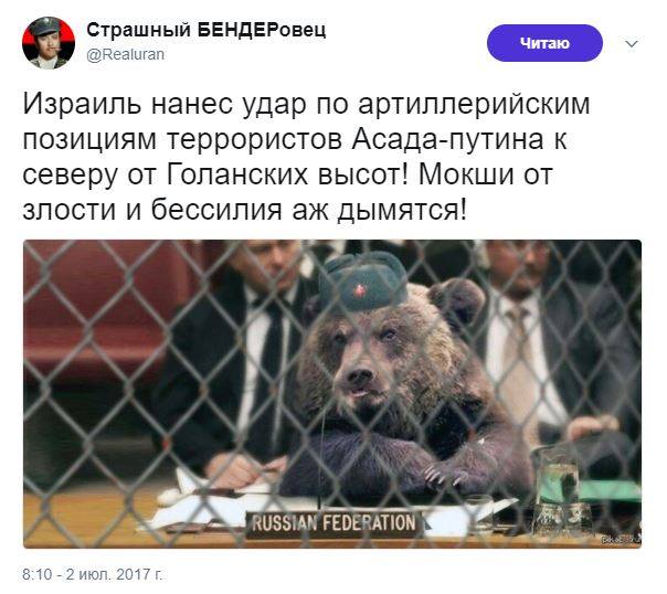 a5febf.jpg