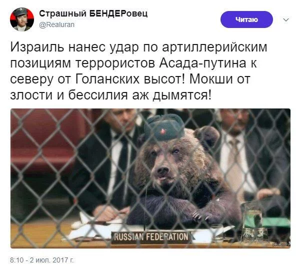 a5febf.webp