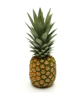 a5gfjf.webp
