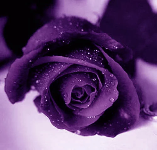 a5hhfe.webp