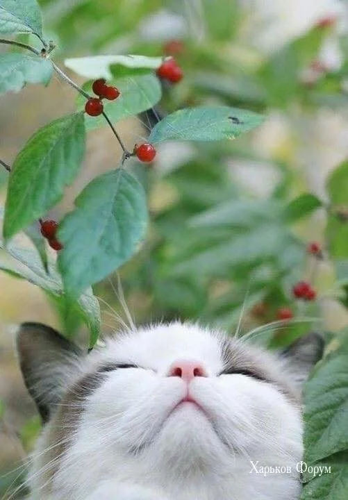a602e1b6b6e89e92b65cc9df.webp