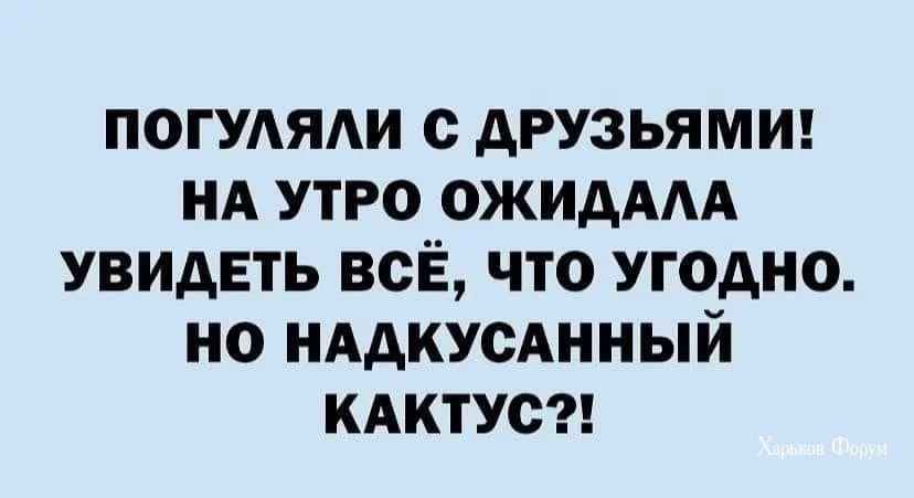 a60b6c24ee65c483c0f9.webp