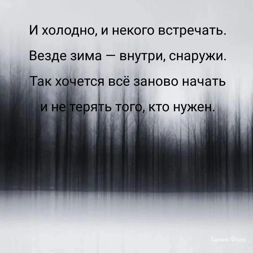 a64aea9c5527667abd75.webp