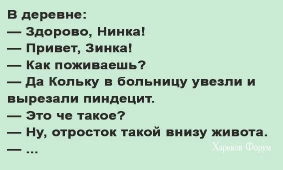 a6585839b43c65c36.webp