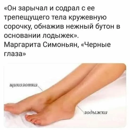 a66068fe506c4e4bc60e49.webp