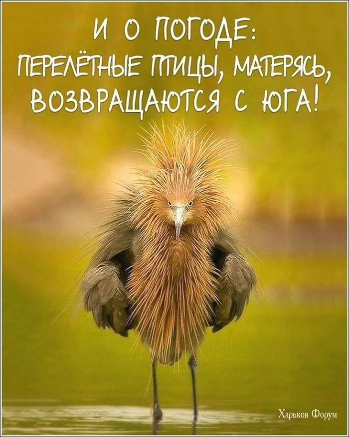 a6651ce181b299da8f2.webp