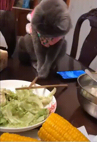 a665dd9a64ba60e7eed.gif