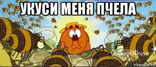 a67b9af761af320bf.webp