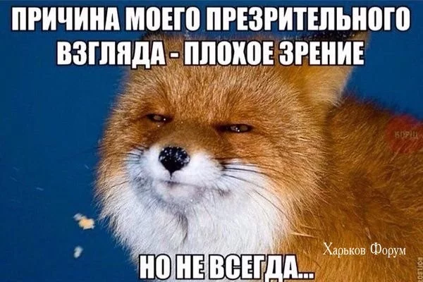 a6800df09af612243f258020.webp