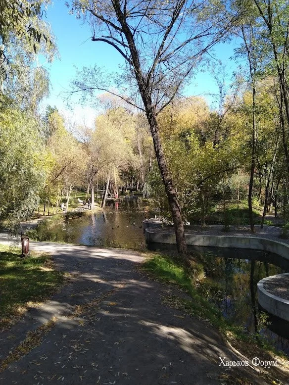 a69d648ce307b9aca.webp
