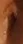a6a0b63efcf8ecaed8e6.webp