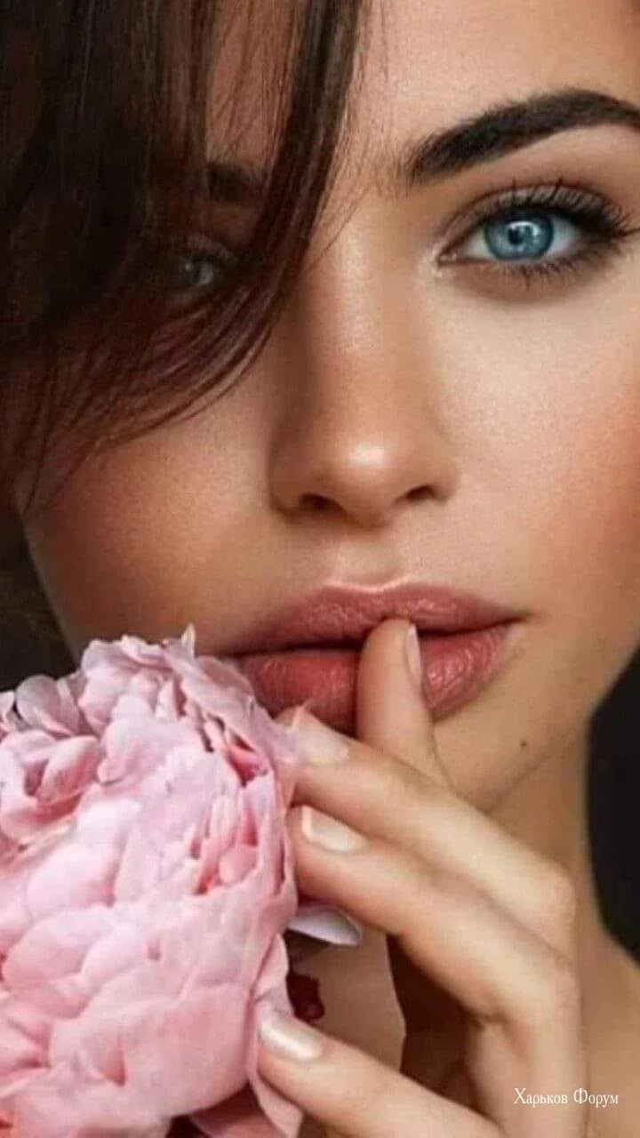 a6b53a845cb125073c9c0.webp