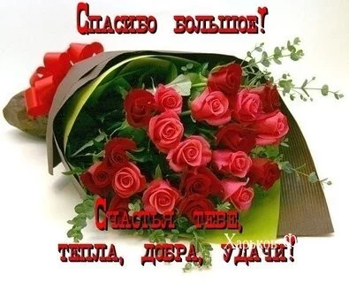 a6dc269cc3230bec7ef059.webp