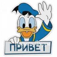 a6ec923278046127674da.webp