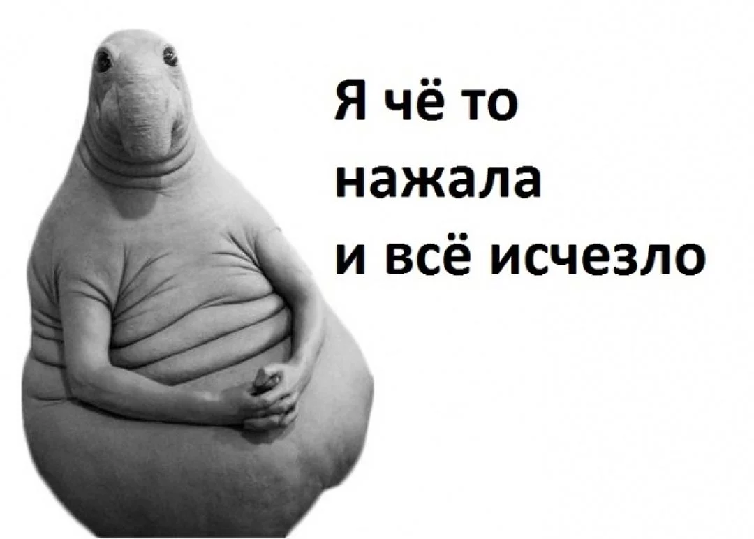 a6jbhj.webp